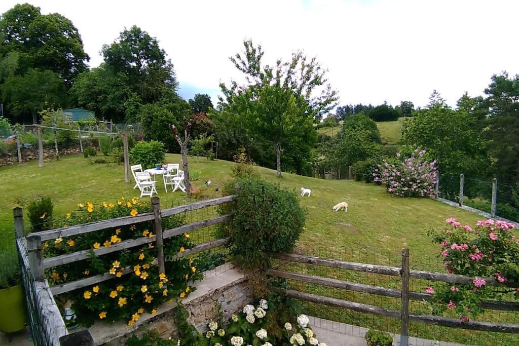Cottage By The Chateau With Pool In National Parc Les Salles-Lavauguyon المظهر الخارجي الصورة